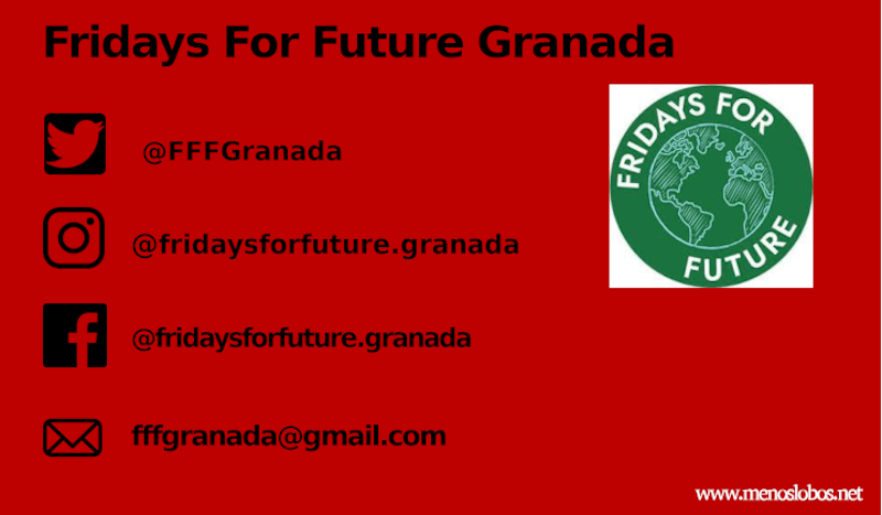 Fridays For Future Granada